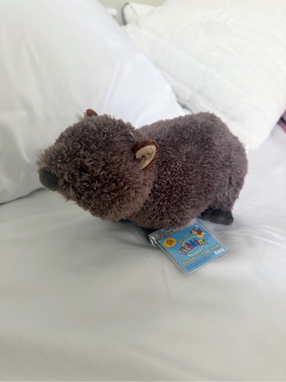 Gainz Webkinz brown wombat plush stuffed animal with sealed tag virtual code